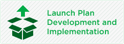 Launch Plan Development